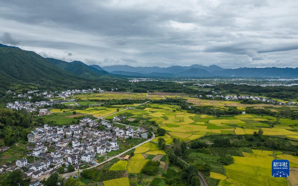 pt体育游戏官网